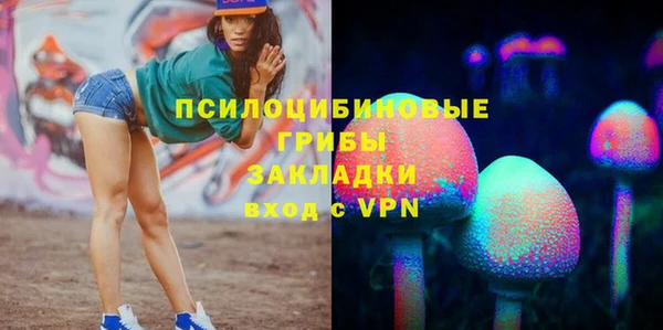дурь Аркадак