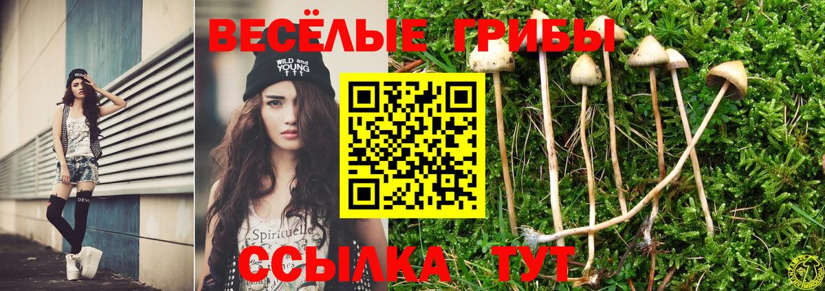 где купить наркоту  Вход с VPN  Усинск  Псилоцибиновые грибы мицелий 